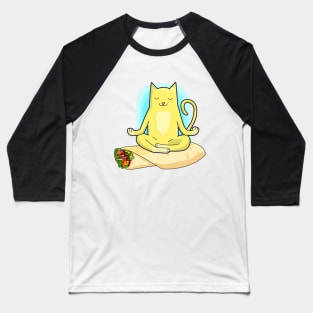 Cat Balance Baseball T-Shirt